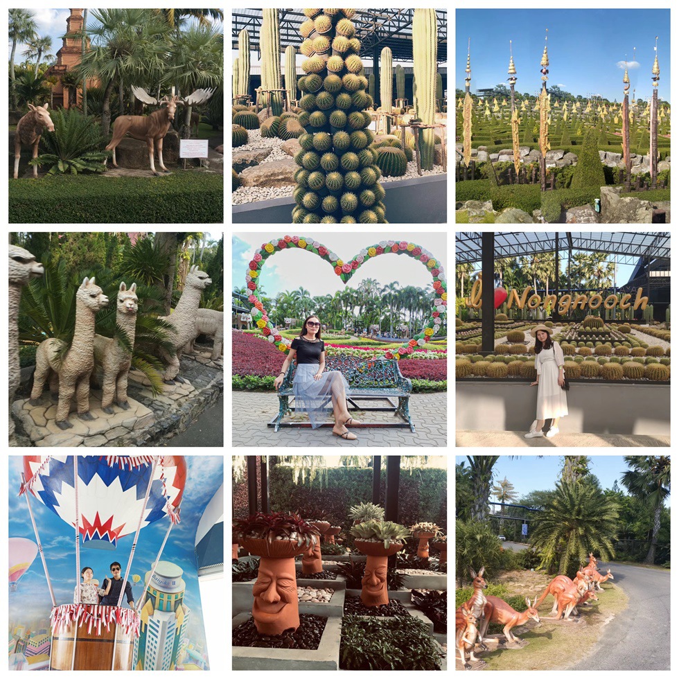 東芭樂園.jpg 東芭樂園.jpg